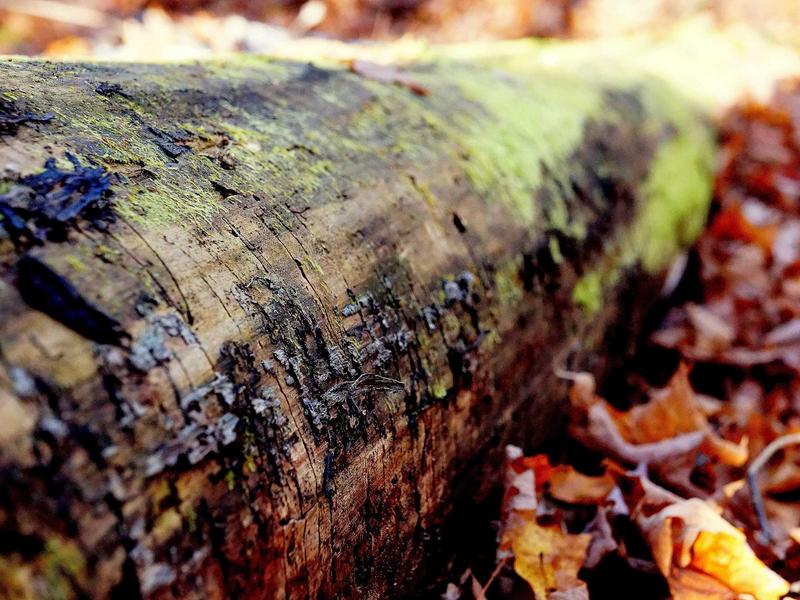 sudoku puzzle game screenshot 3